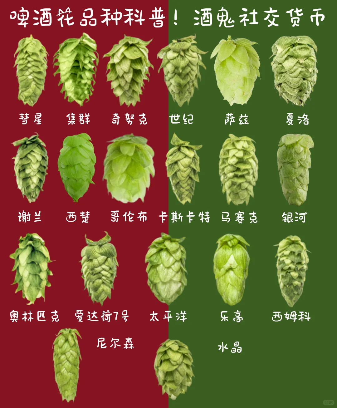 按香型选酒！啤酒花风味手册