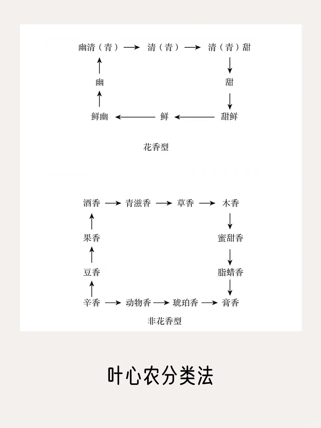 一篇看完所有【香气分类法】