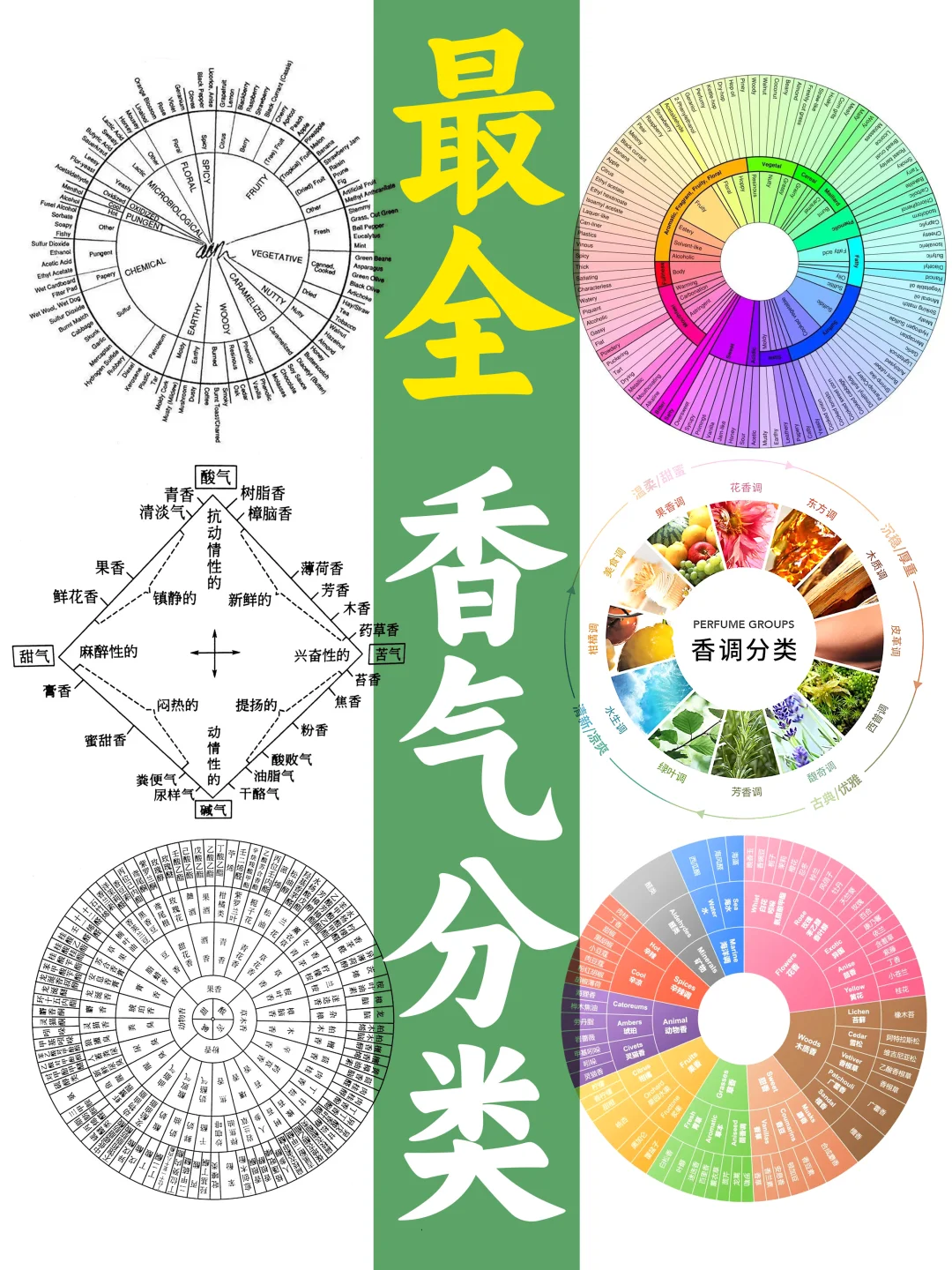 一篇看完所有【香气分类法】
