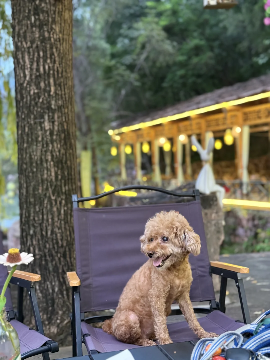 武安山里的朋友四季餐厅