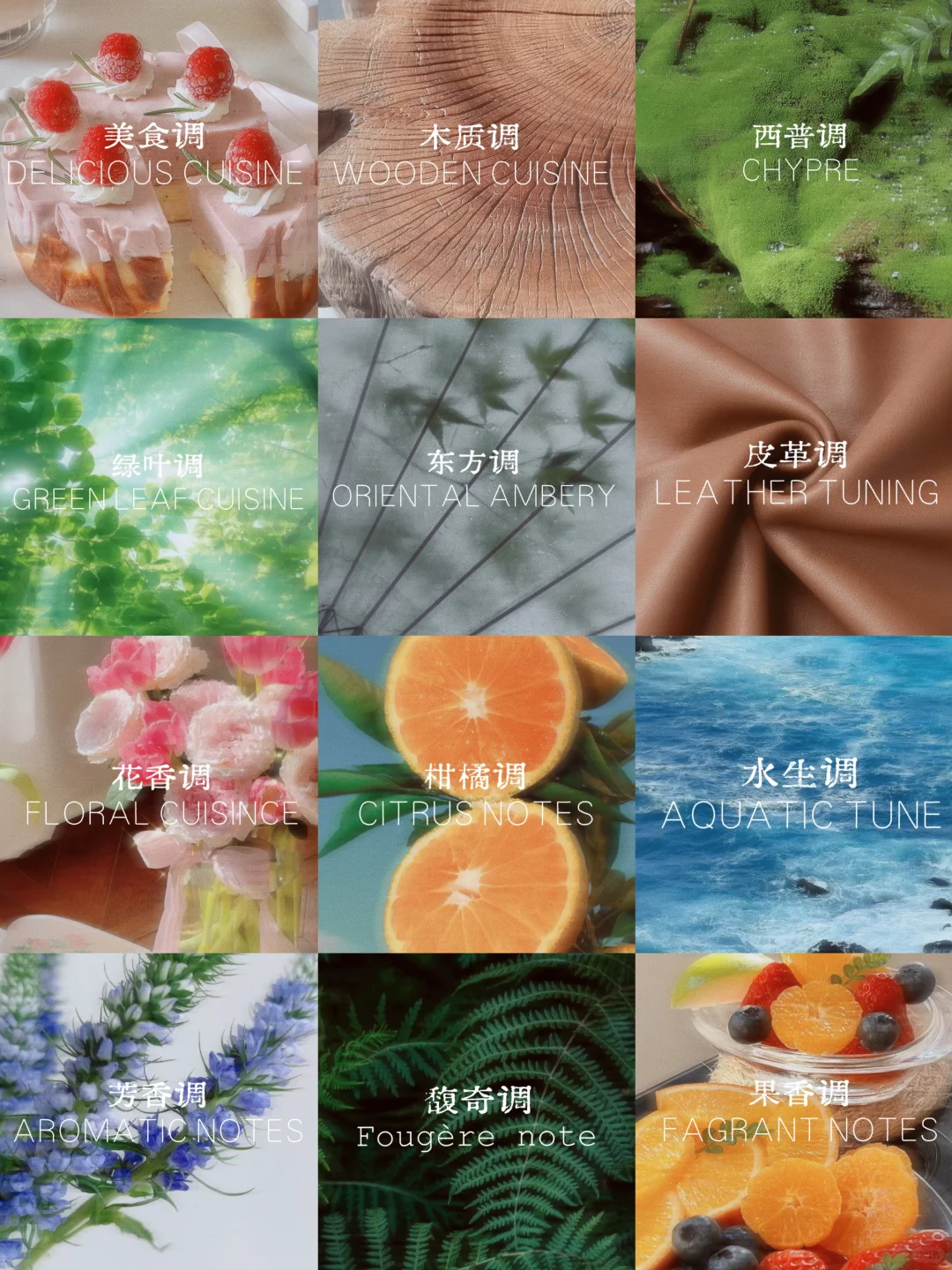 小白香水科普｜一分钟找到属于你的香调！