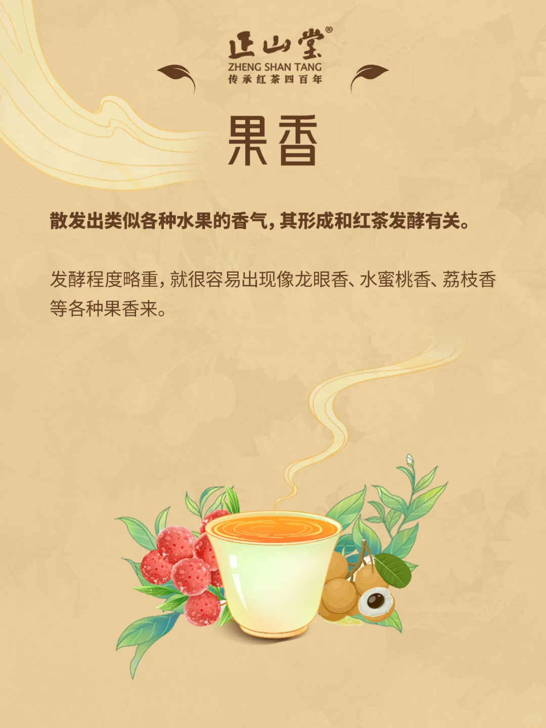 茶知识?红茶的八大香型，你品到过吗？