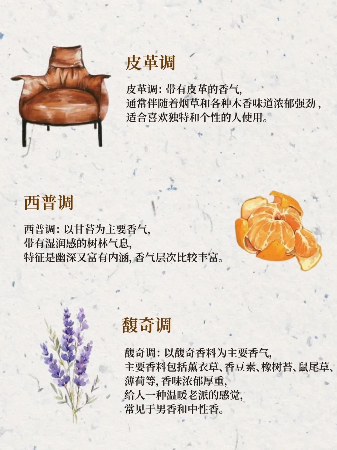 12 种香调|调香爱好者必存!