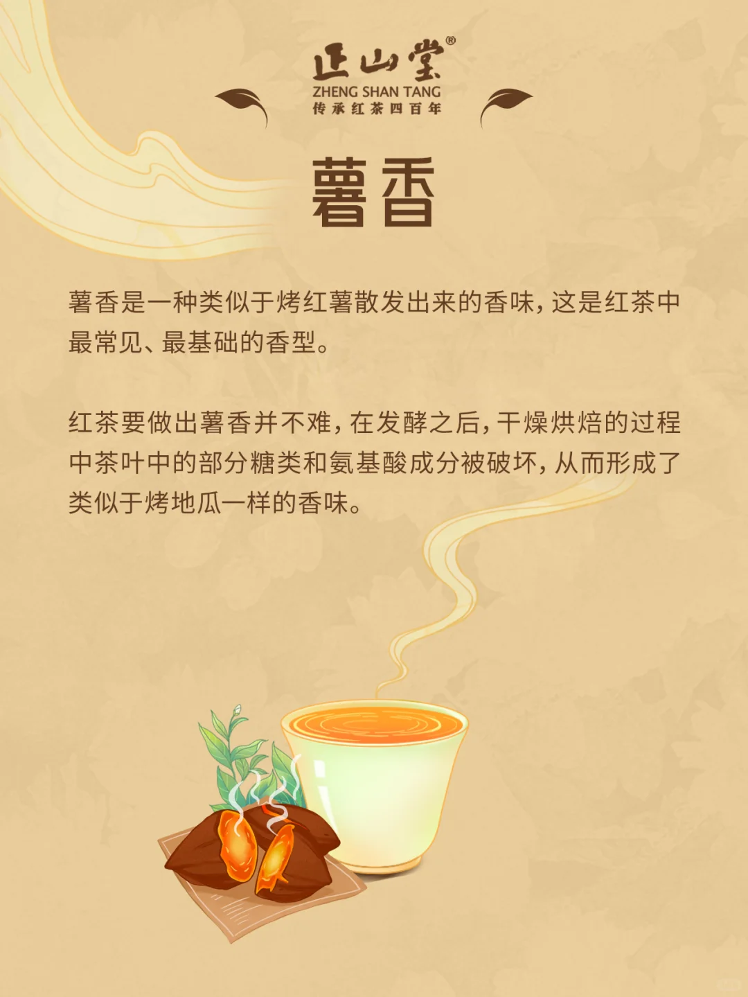 茶知识?红茶的八大香型，你品到过吗？