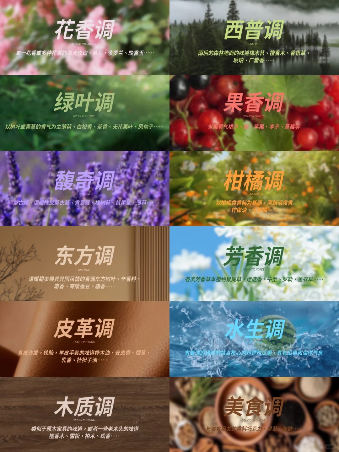 新手必看?一分钟找到你的本命香！