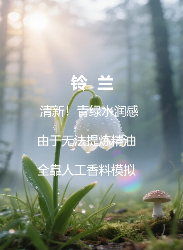 香气中的肥皂感竟然来自于这些