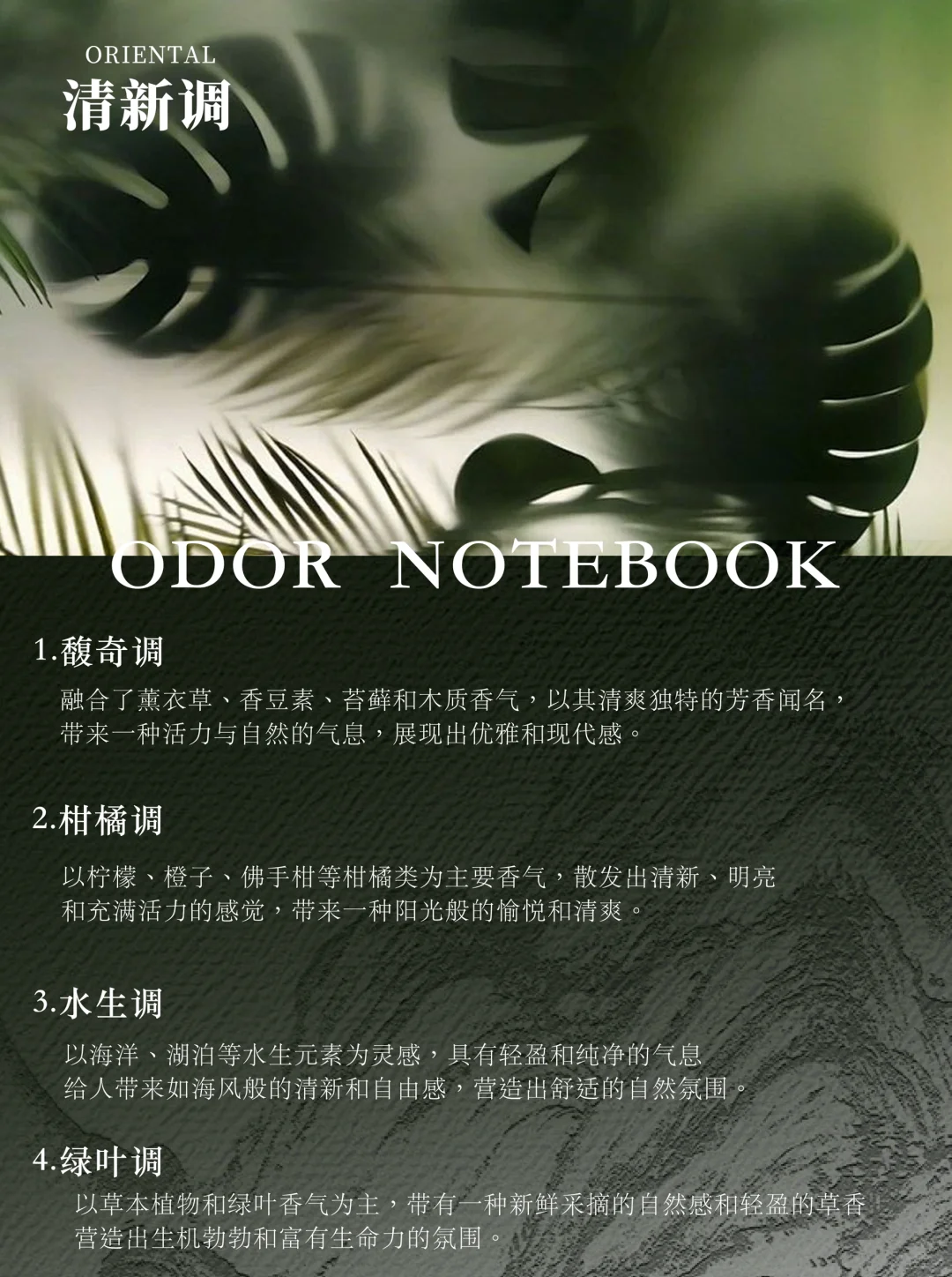 香调入门篇-清新调解析