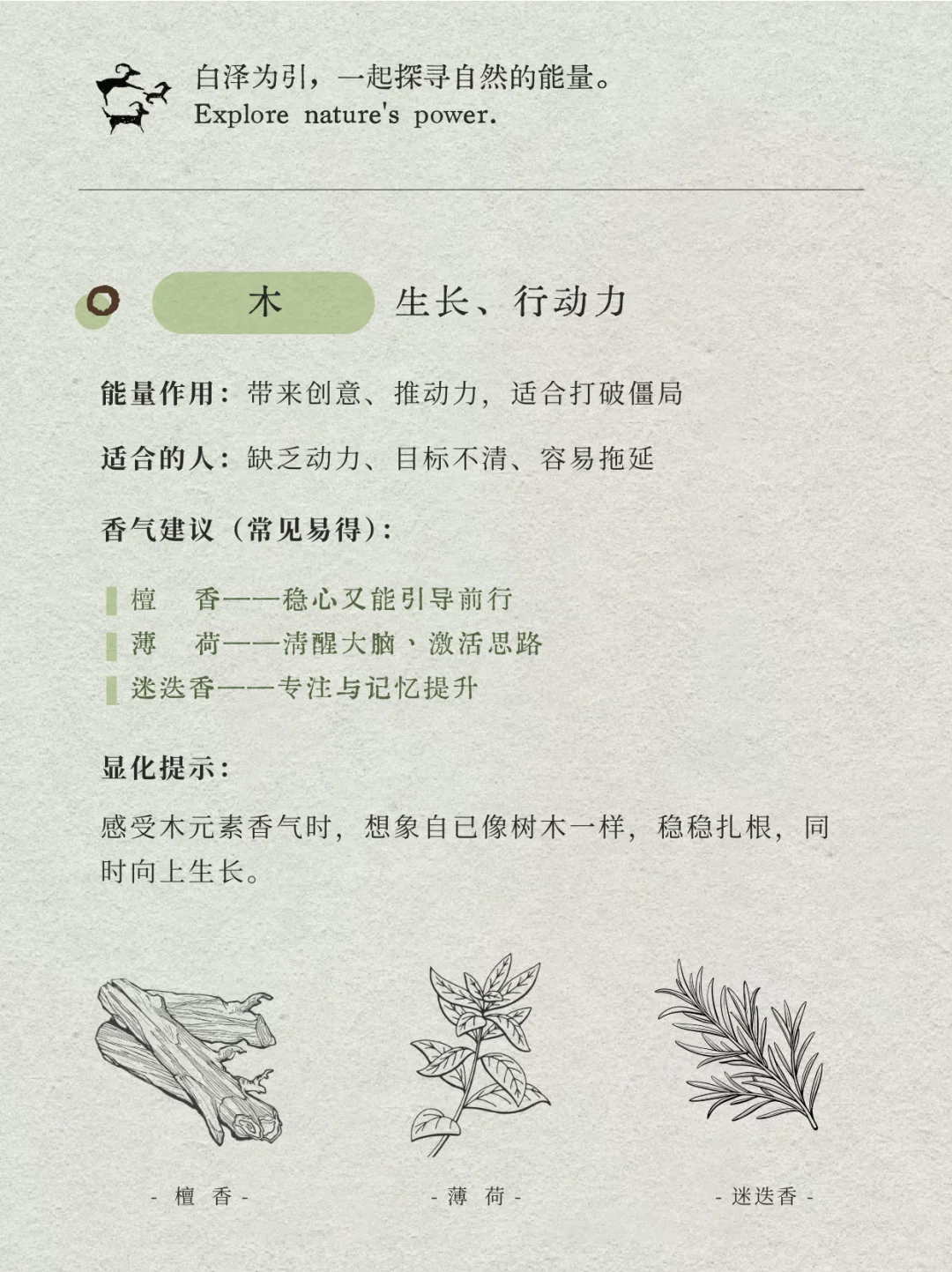 日常可得版：金木水火土分别该用什么香？