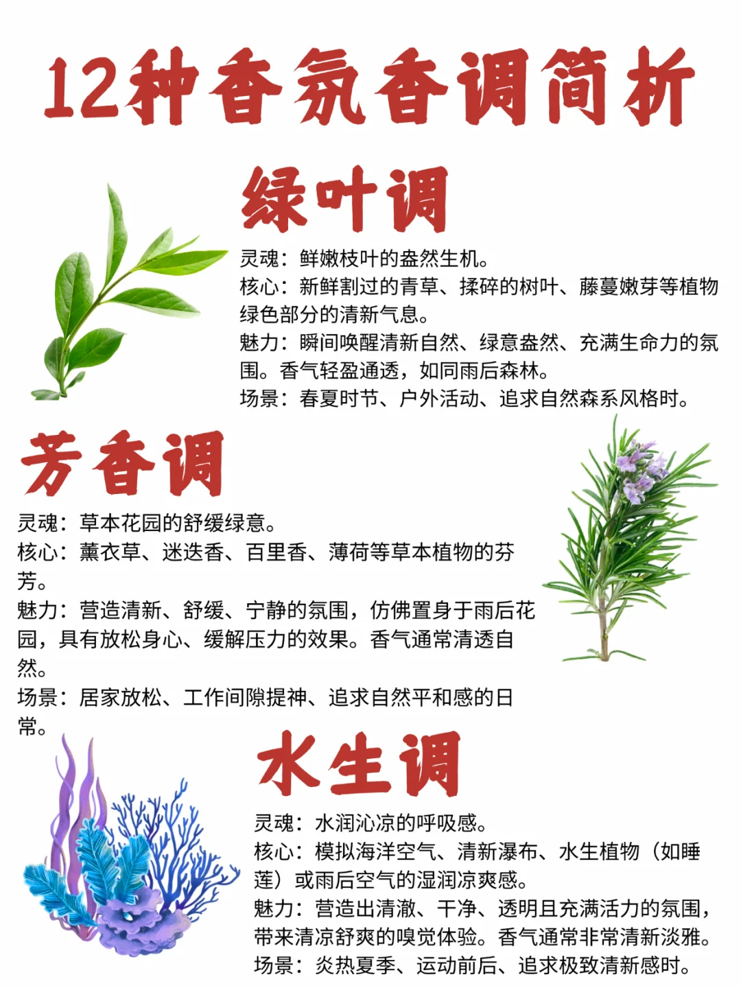 香圈新人必看科普！搞懂香水12香调