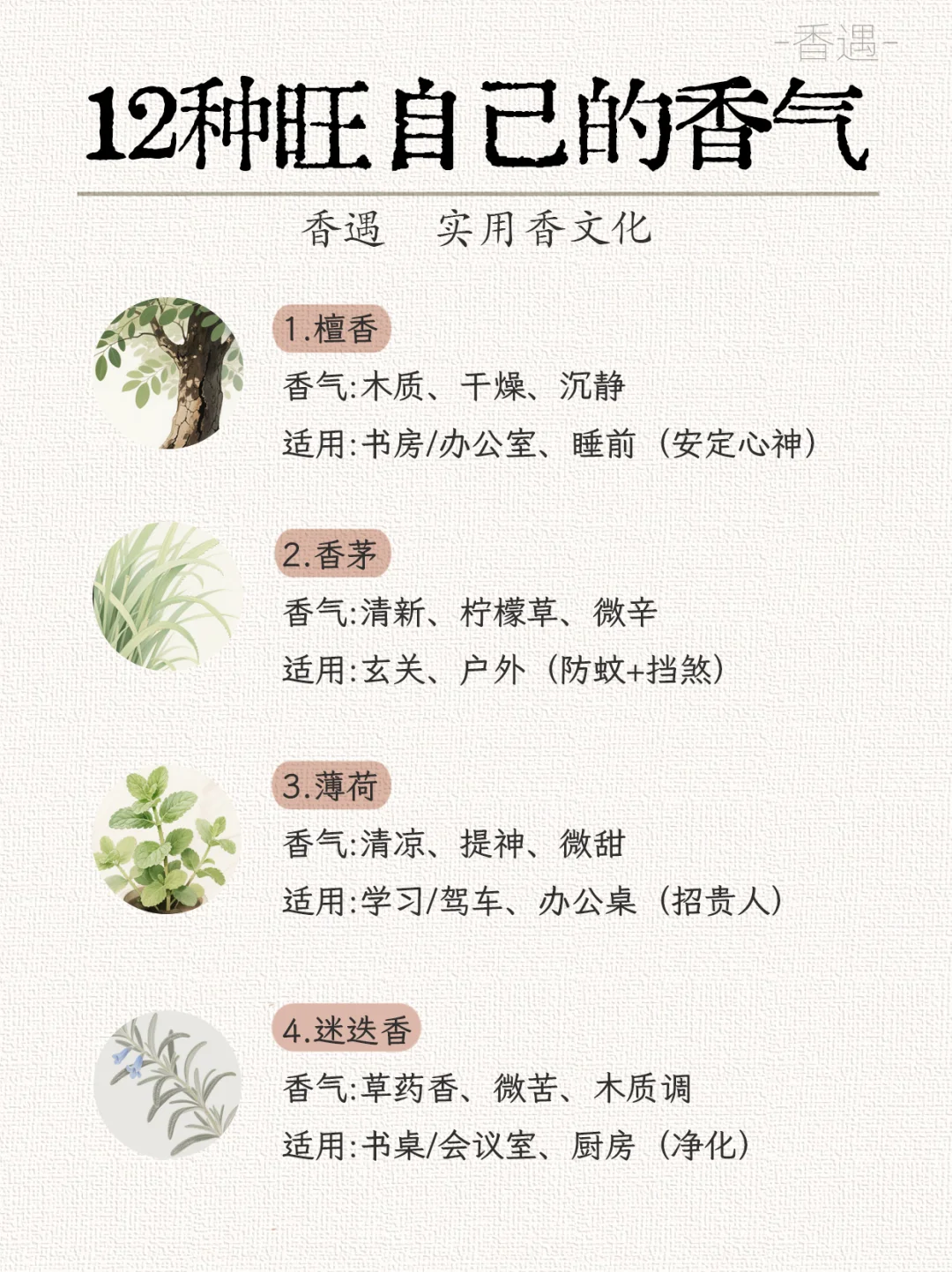 12种旺自己的香气