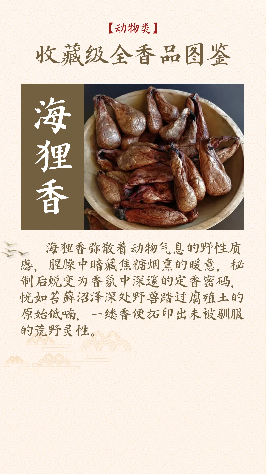 香料气味大揭秘！动物篇