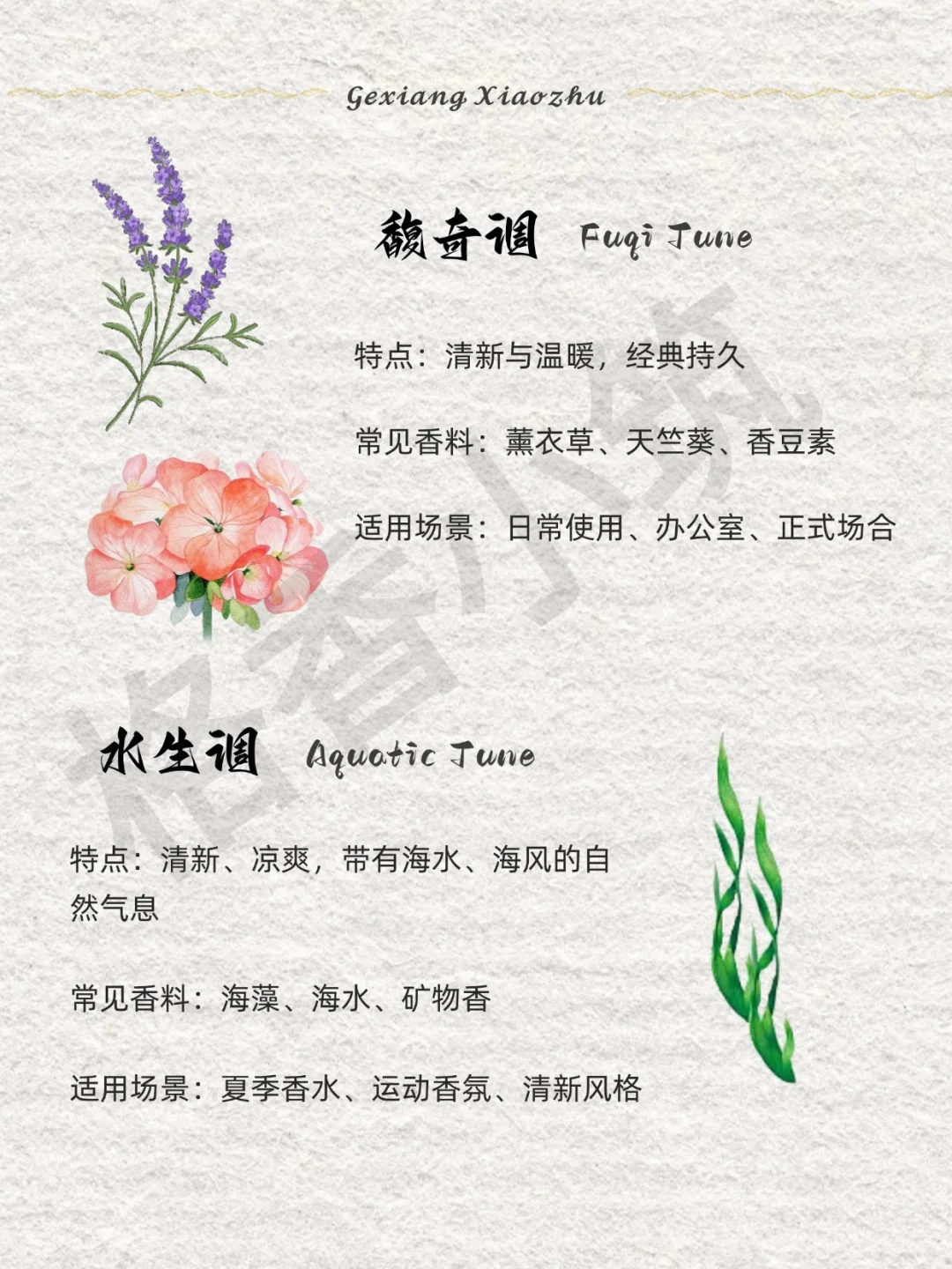 香味科普 | 新手必知的12种香调！