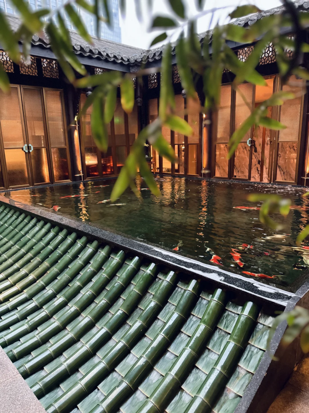 感谢老板安排的高端饭局?真的开眼界了