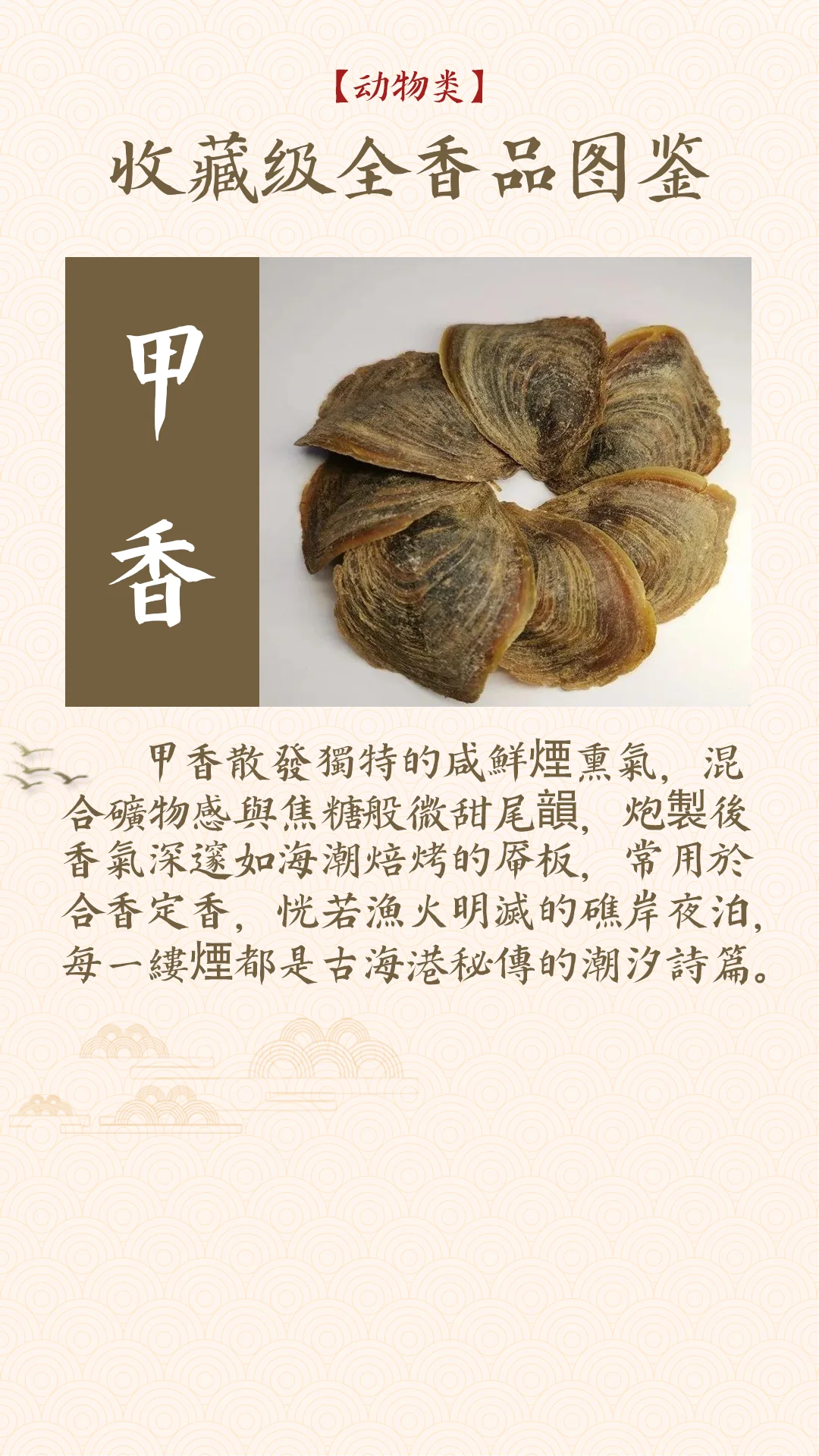 香料气味大揭秘！动物篇