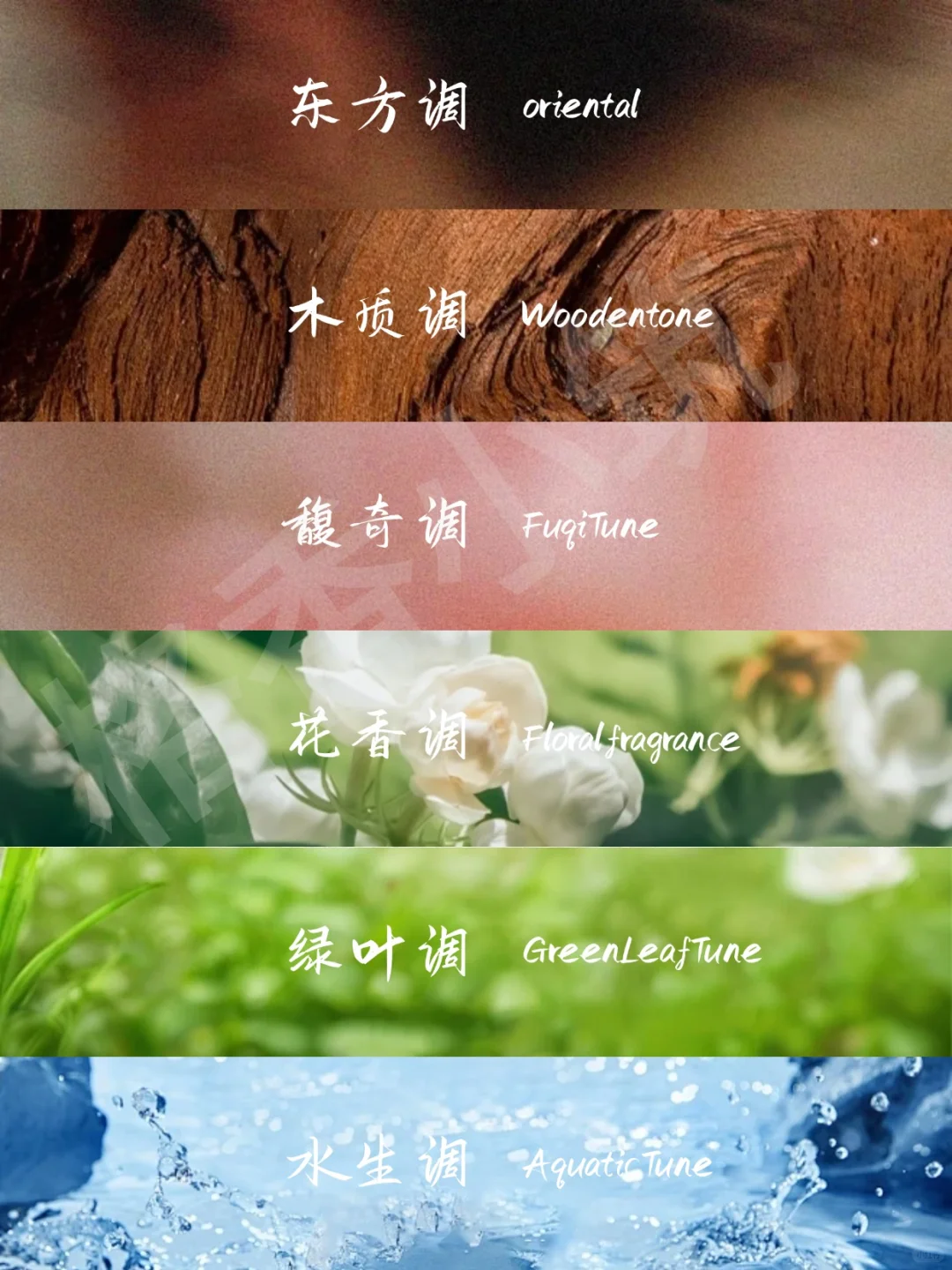 香味科普 | 新手必知的12种香调！