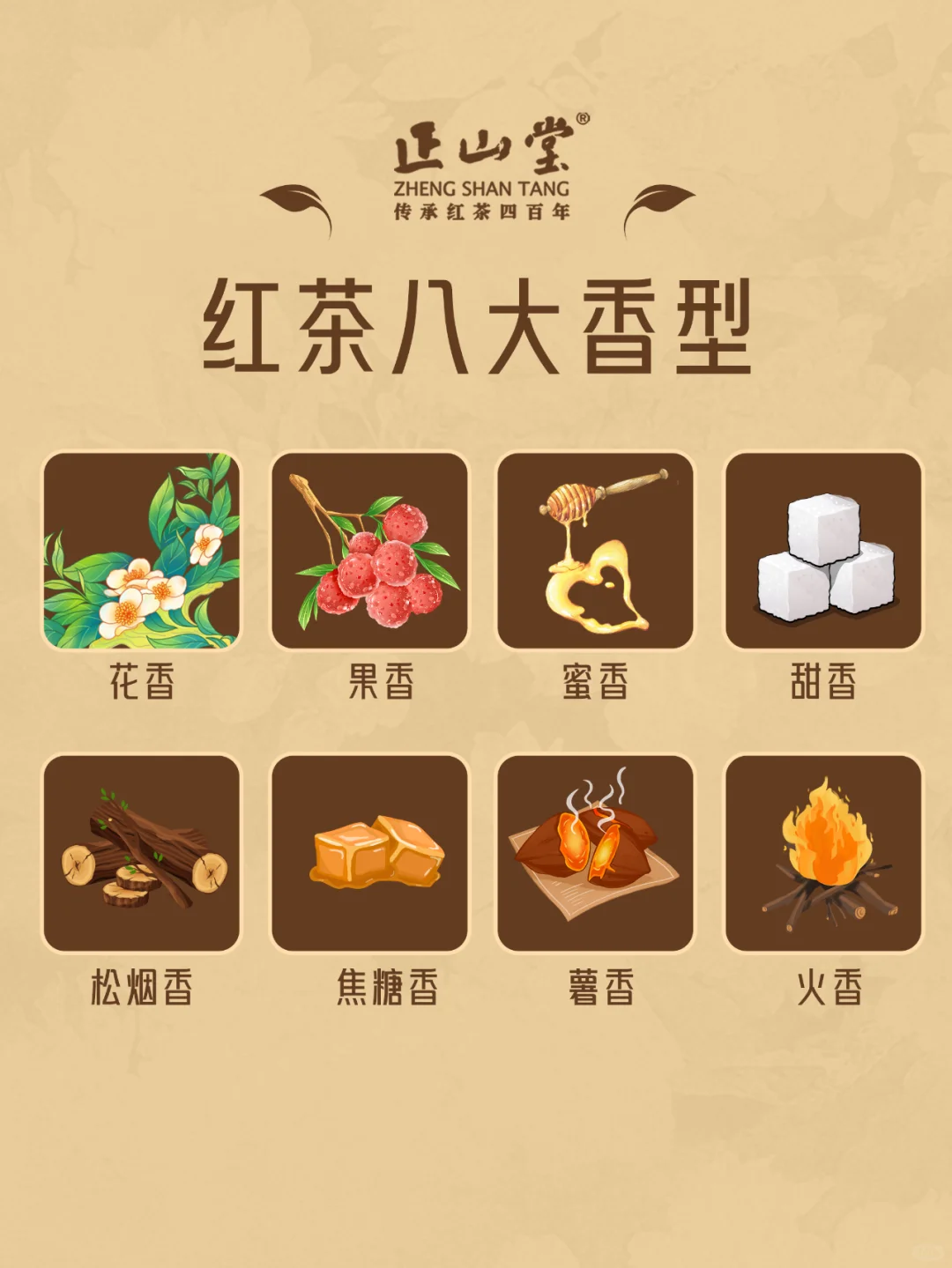 茶知识?红茶的八大香型，你品到过吗？