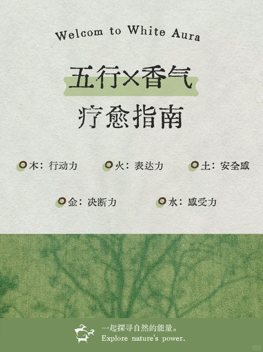 日常可得版：金木水火土分别该用什么香？