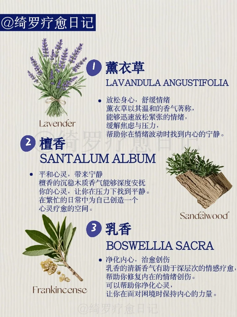 ❤️治愈心灵|6种植物线香?找到平静与力量