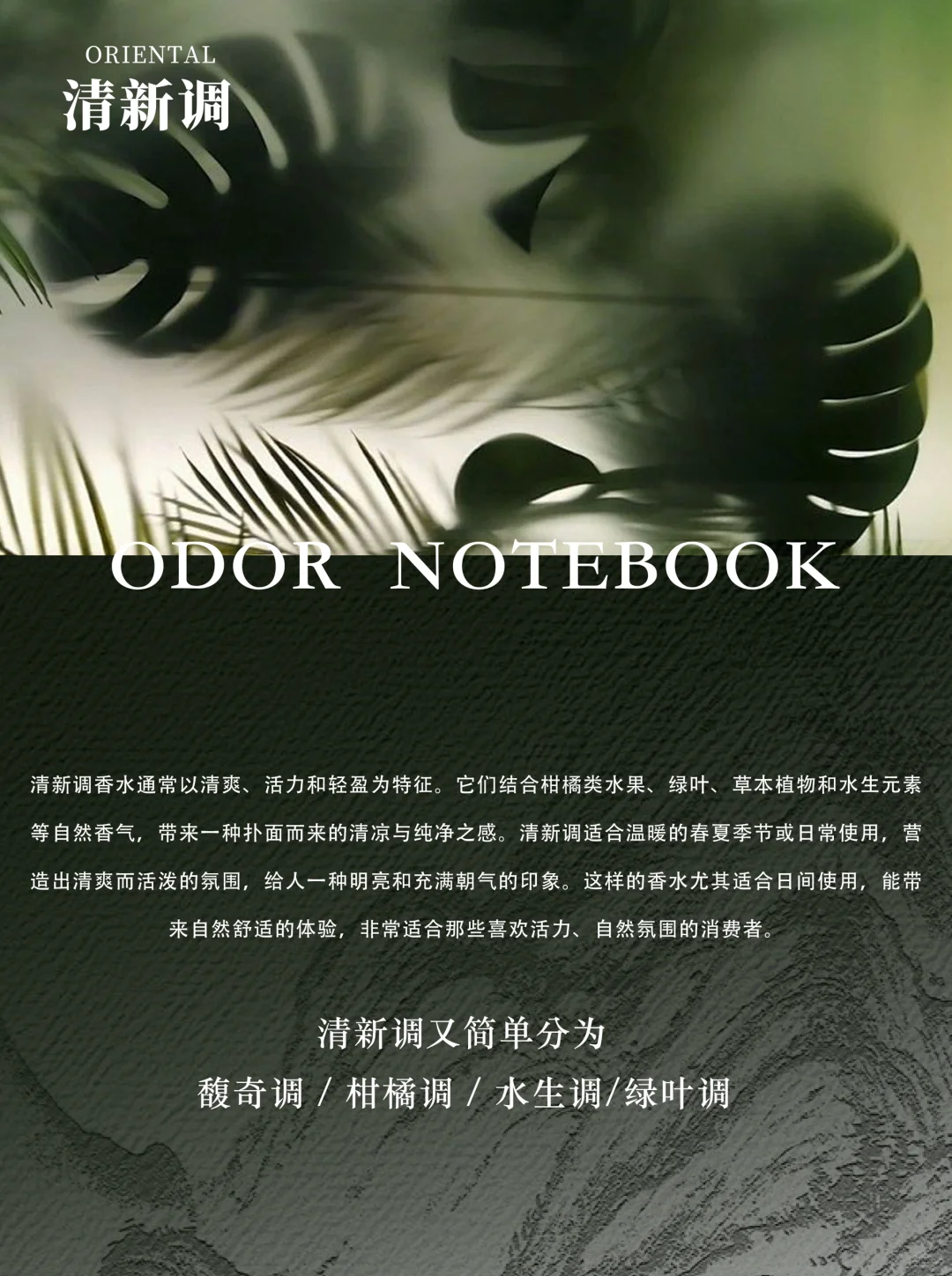 香调入门篇-清新调解析