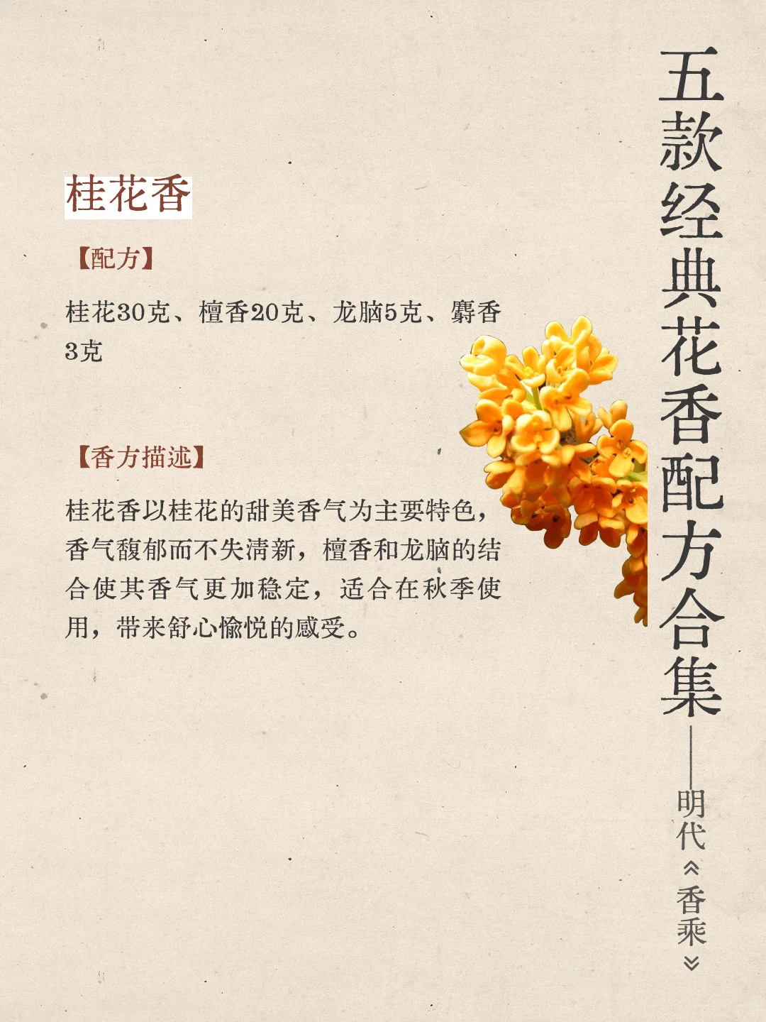 香方分享|五款经典花香合香配方。