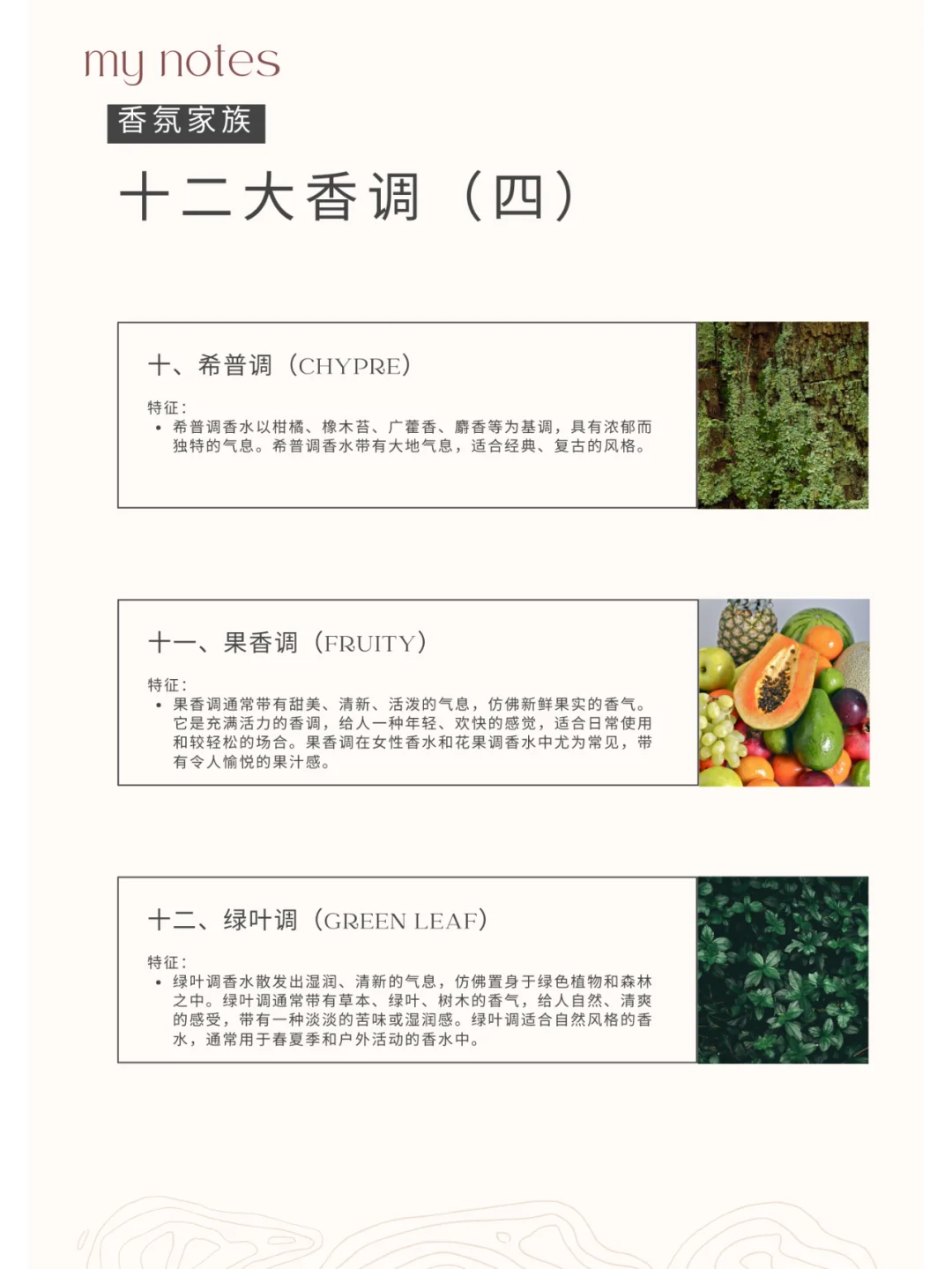 12大香调大起底?香水小白秒变大师?