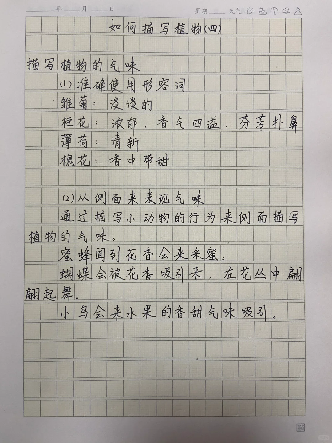 如何描写植物（四）