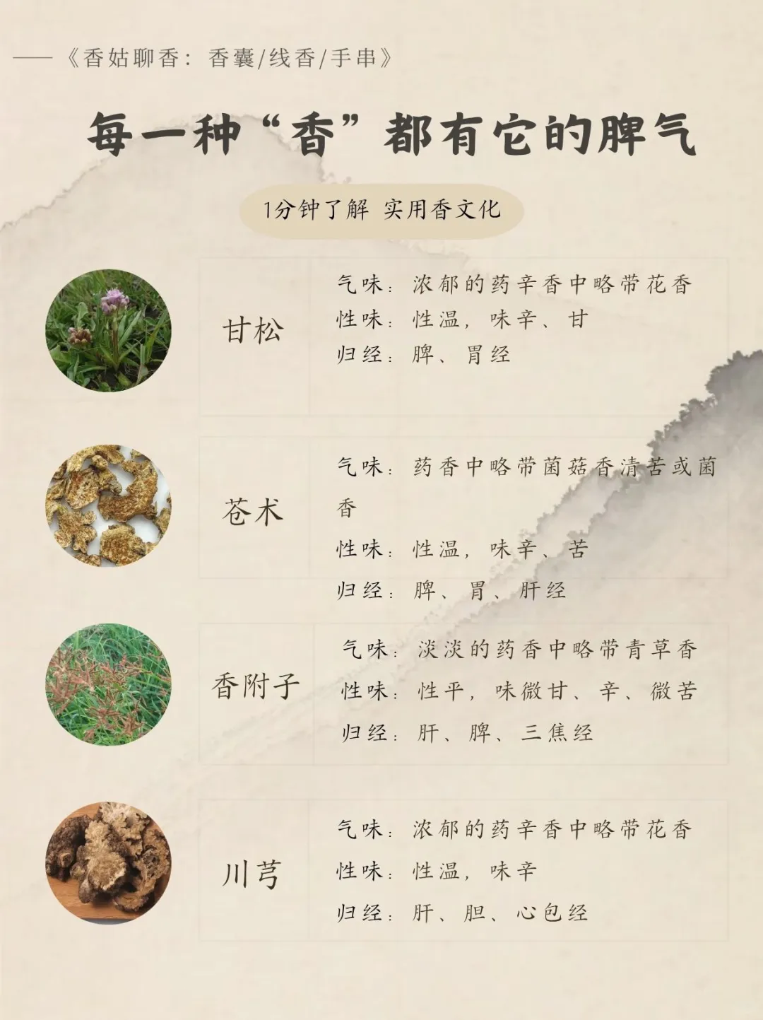 实用香文化｜药香同源各种香材气味辨认