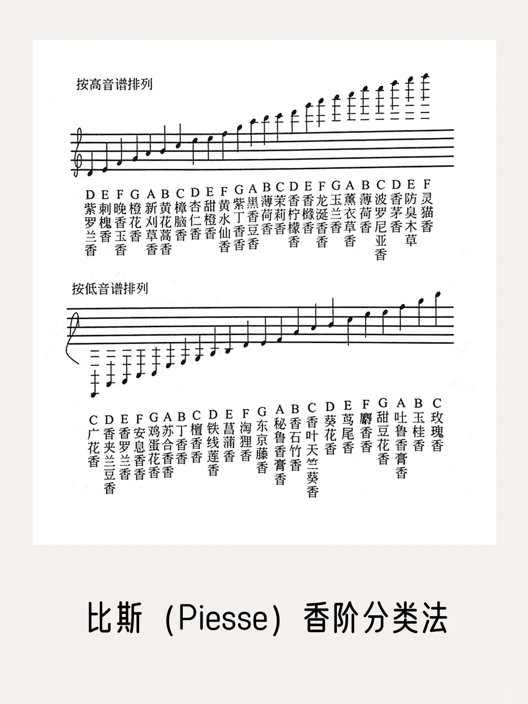 一篇看完所有【香气分类法】