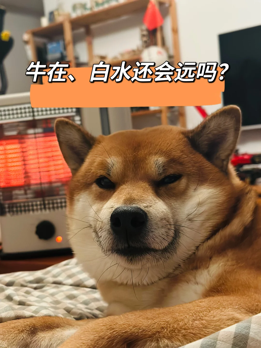 牛在、白水还会远吗？