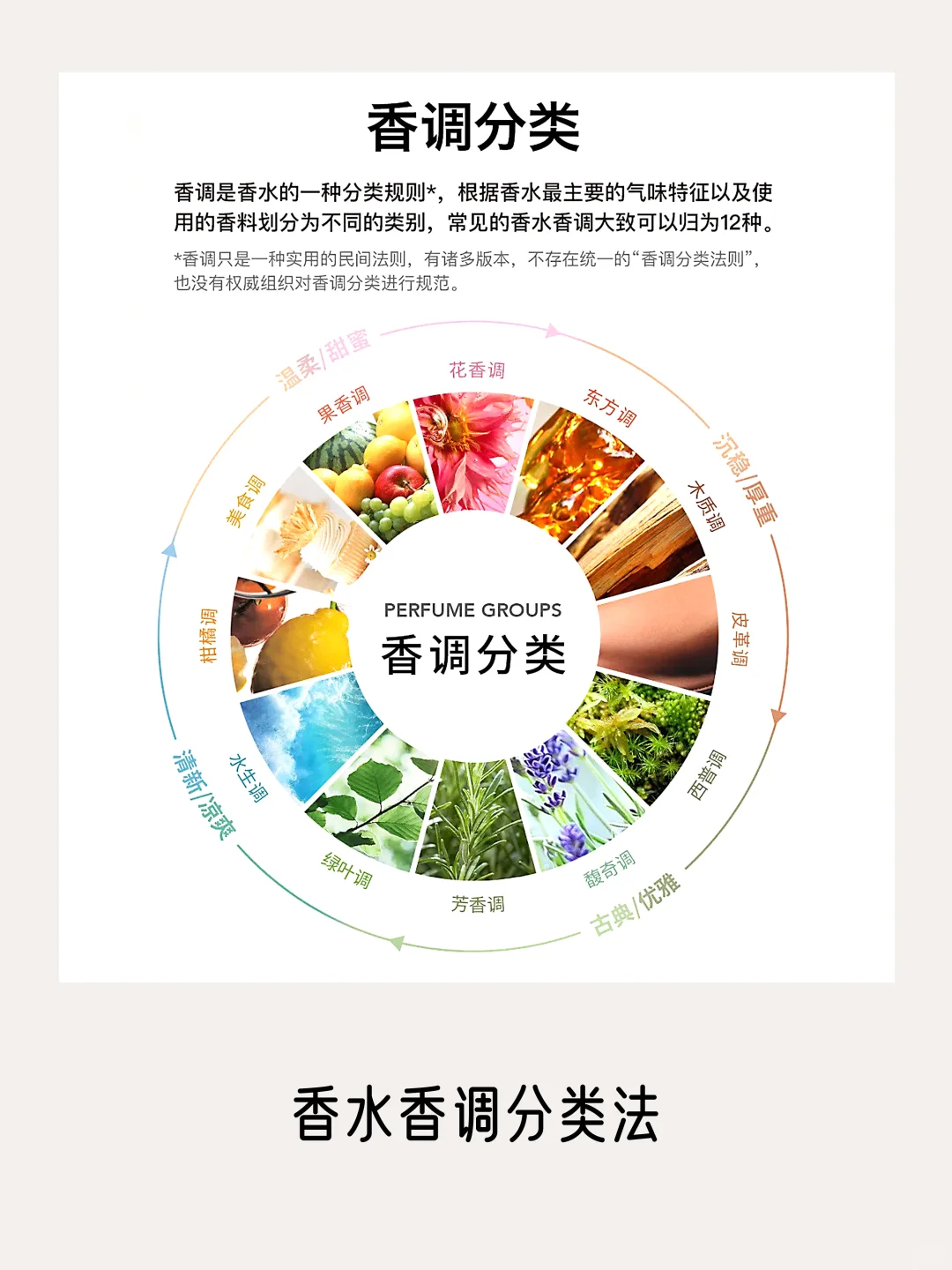 一篇看完所有【香气分类法】