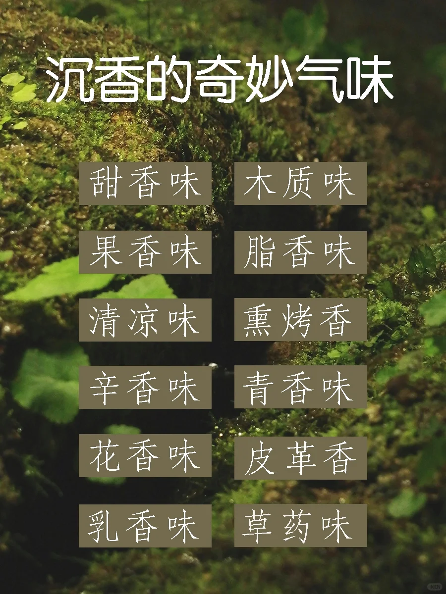 沉香的12种关键香气