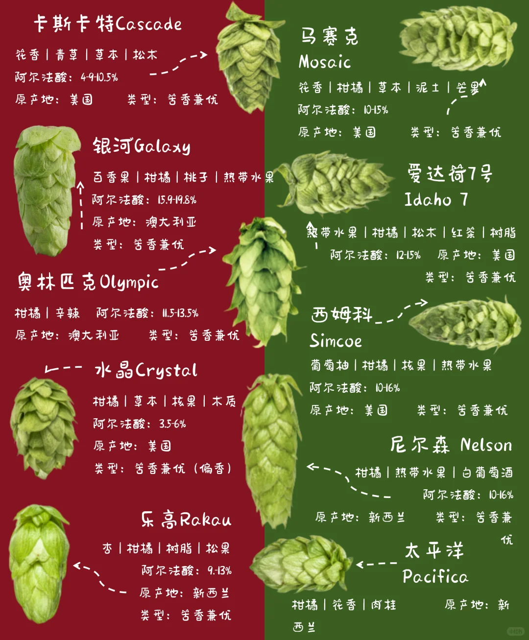 按香型选酒！啤酒花风味手册