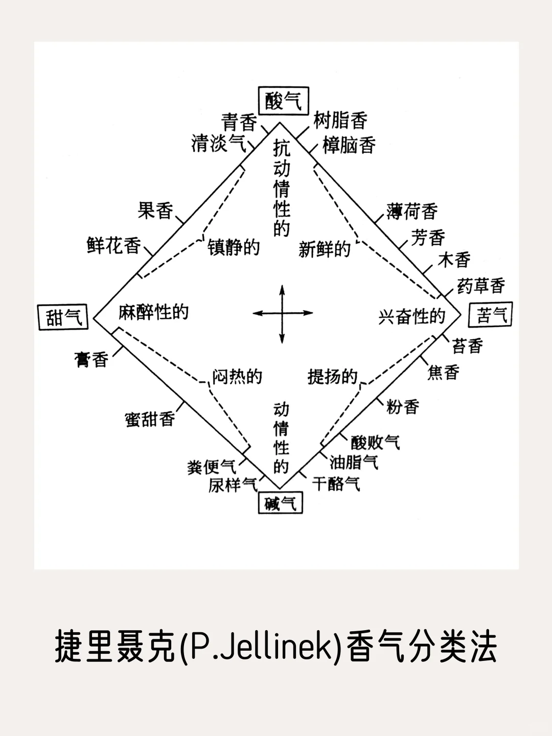 一篇看完所有【香气分类法】