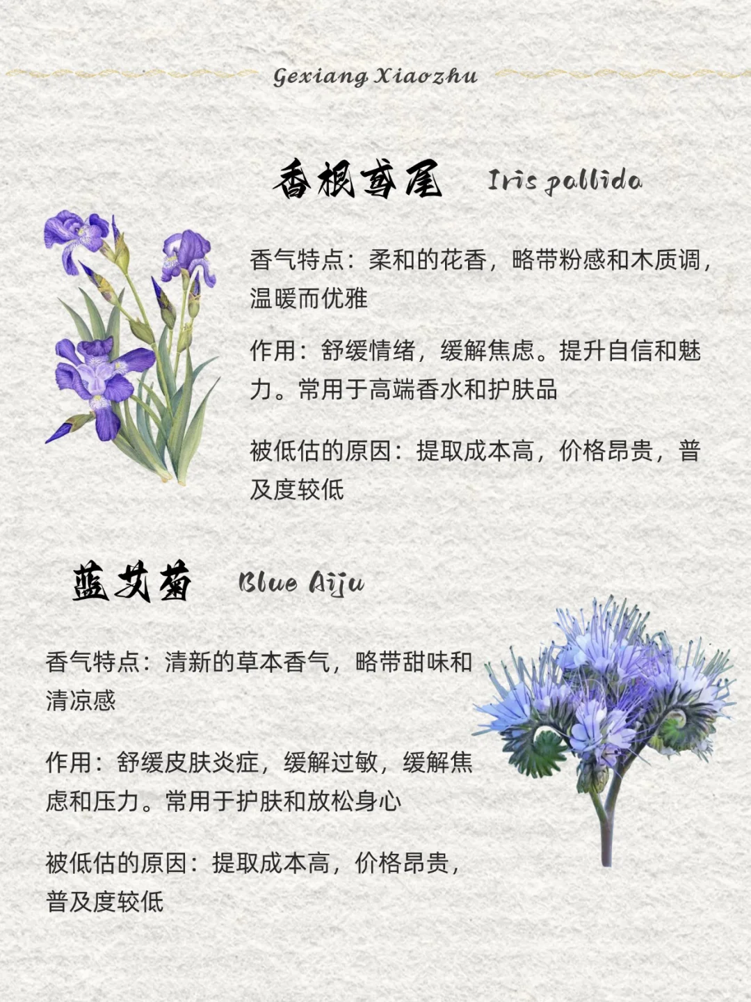 香味科普 ｜8种被低估的香气