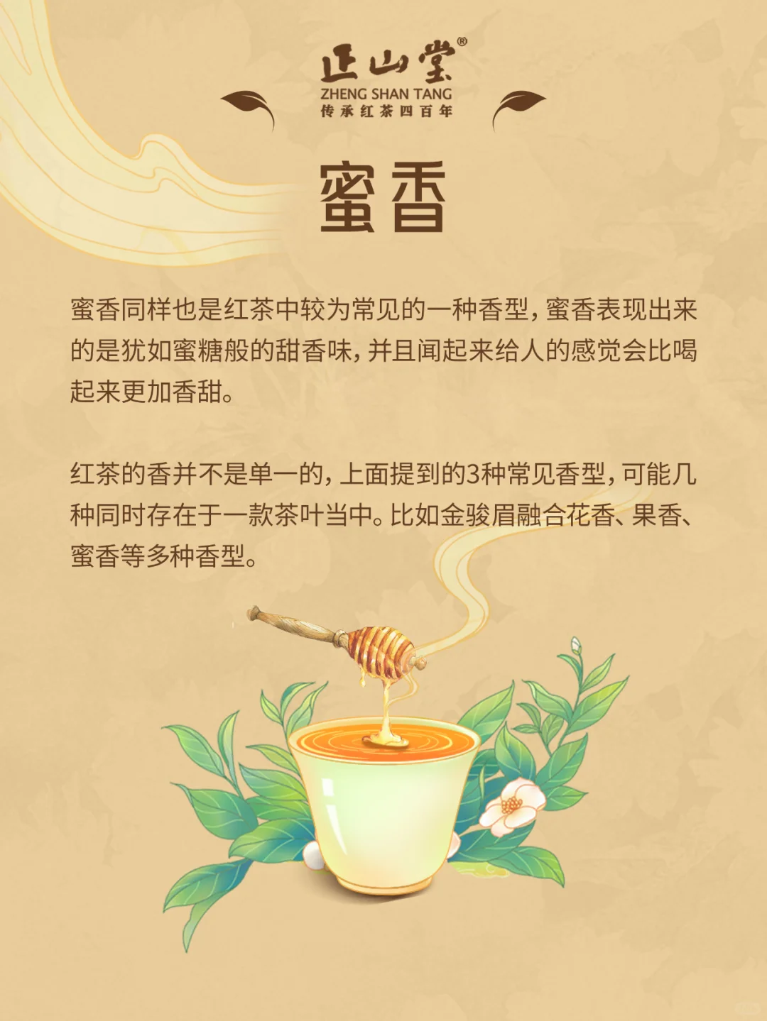 茶知识?红茶的八大香型，你品到过吗？