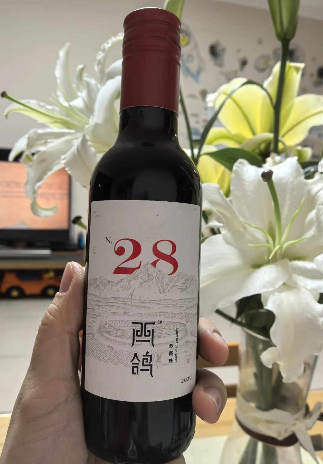 今晚一杯国风?西鸽N28