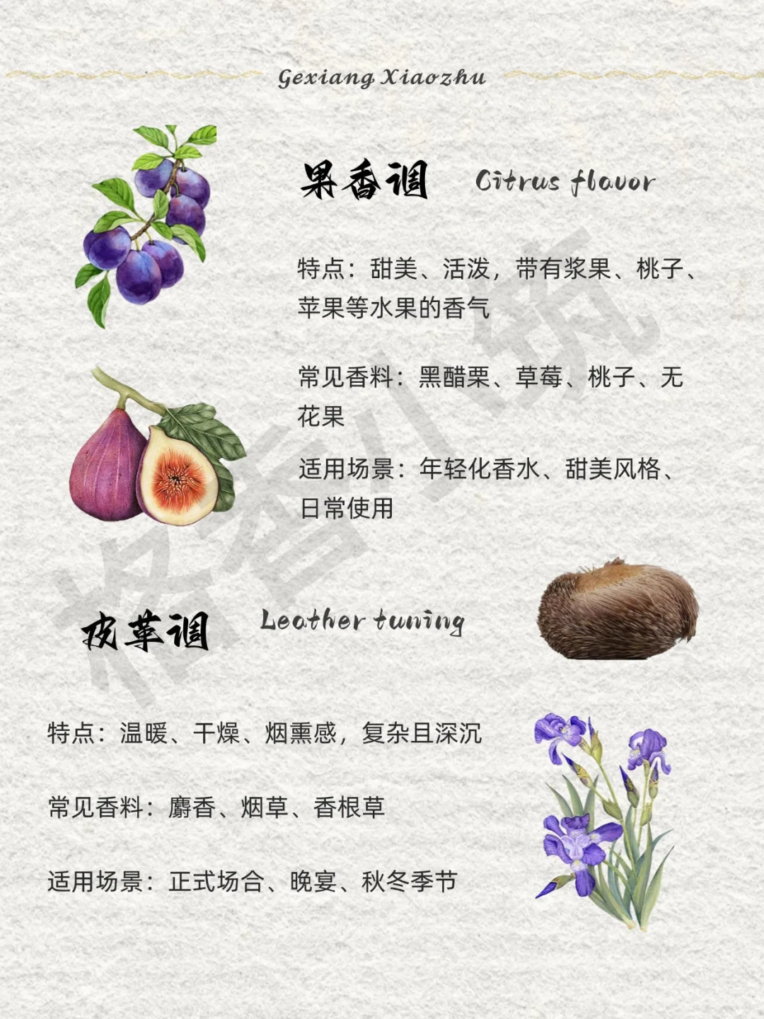 香味科普 | 新手必知的12种香调！