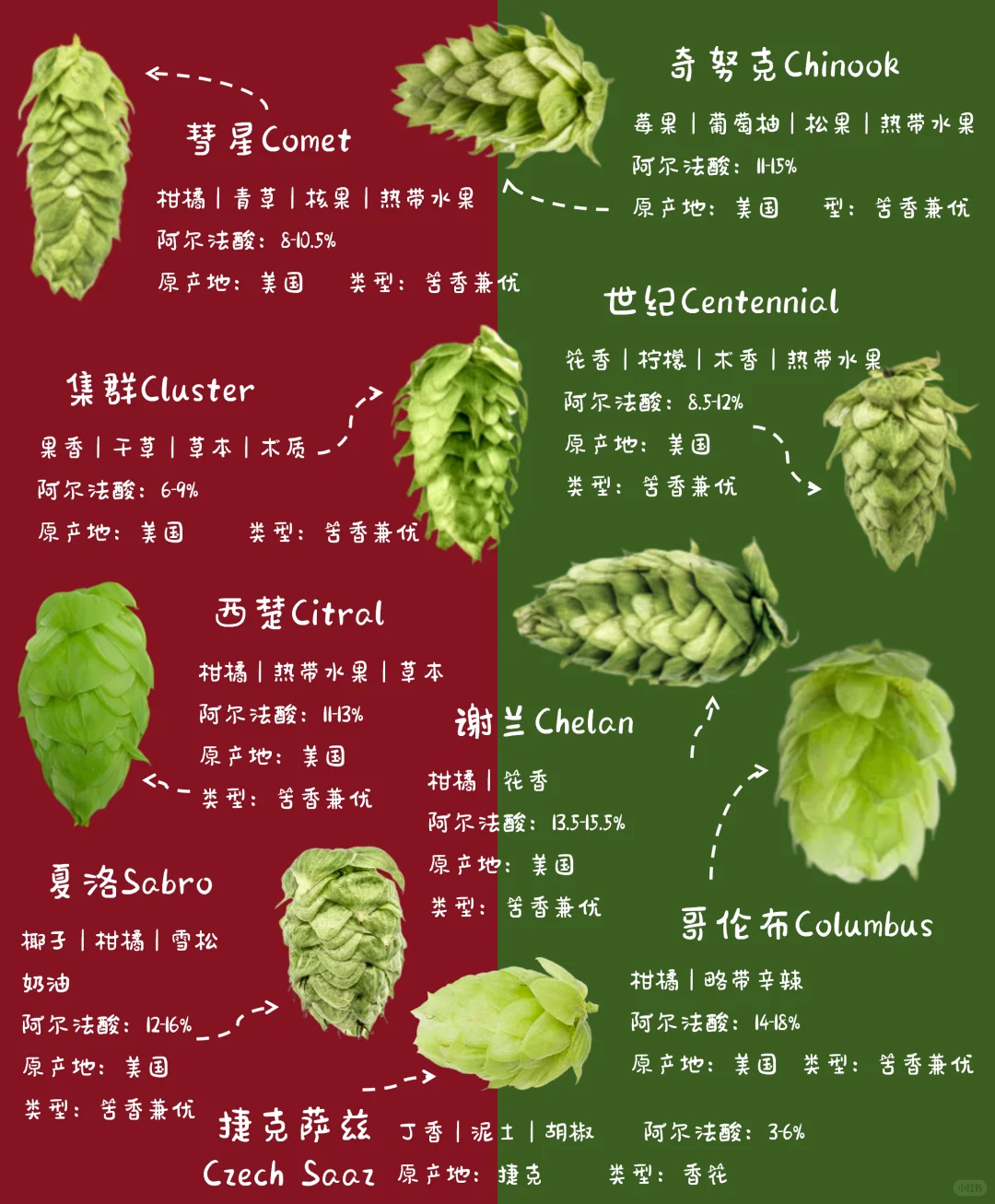 按香型选酒！啤酒花风味手册