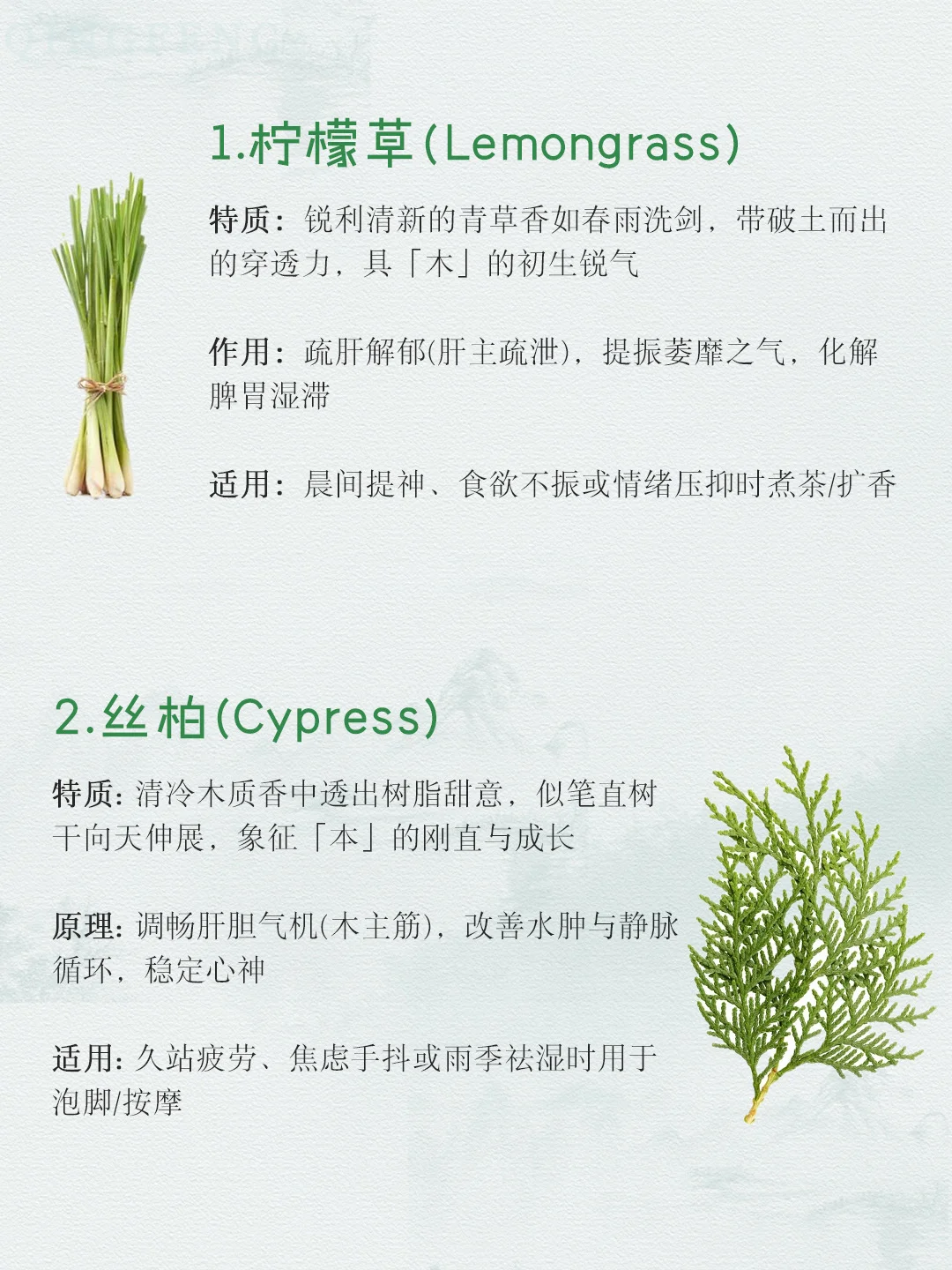 适合喜木之人的木质香气