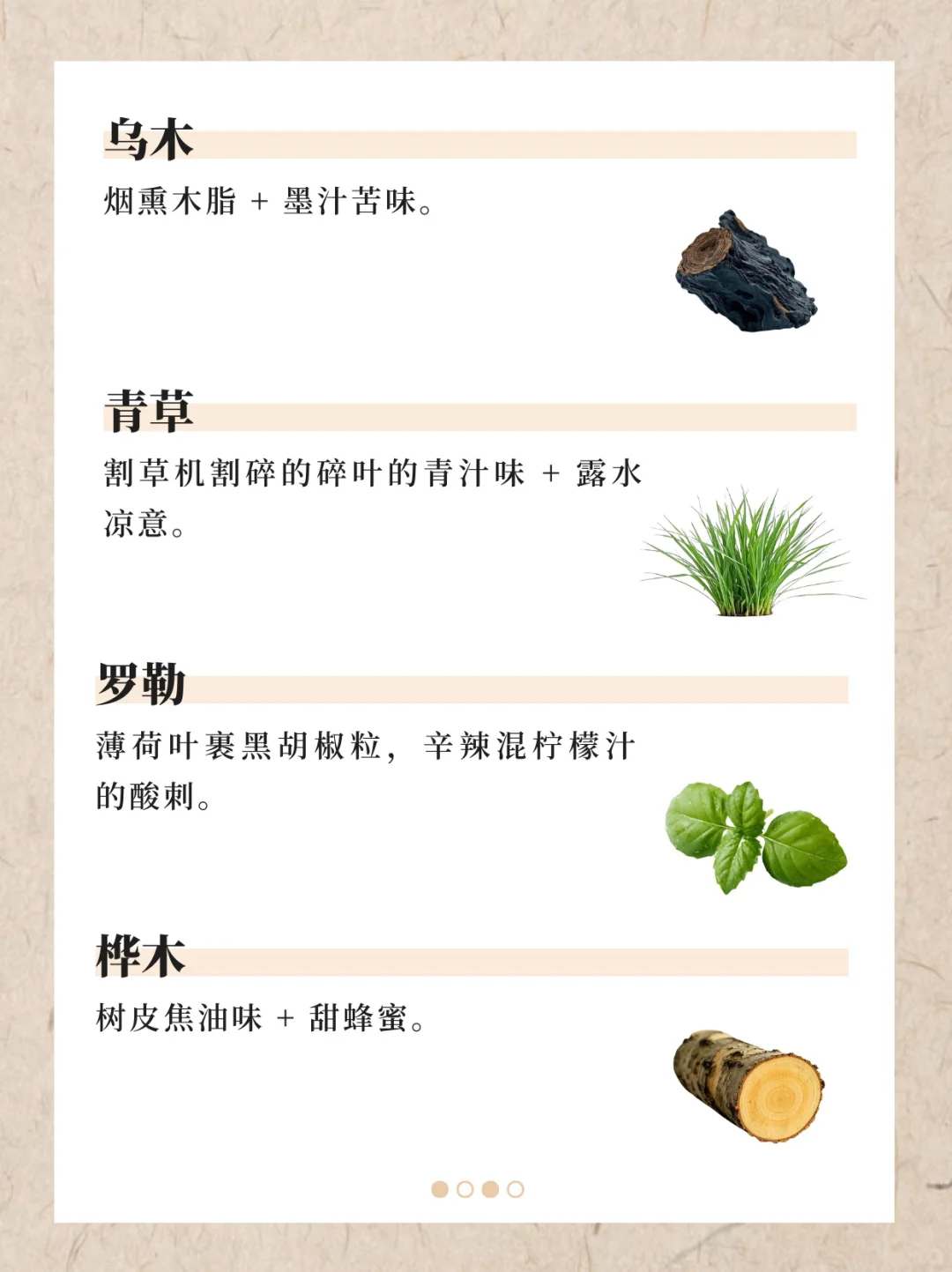 香水香料气味词典（上）｜122种香料气味翻译