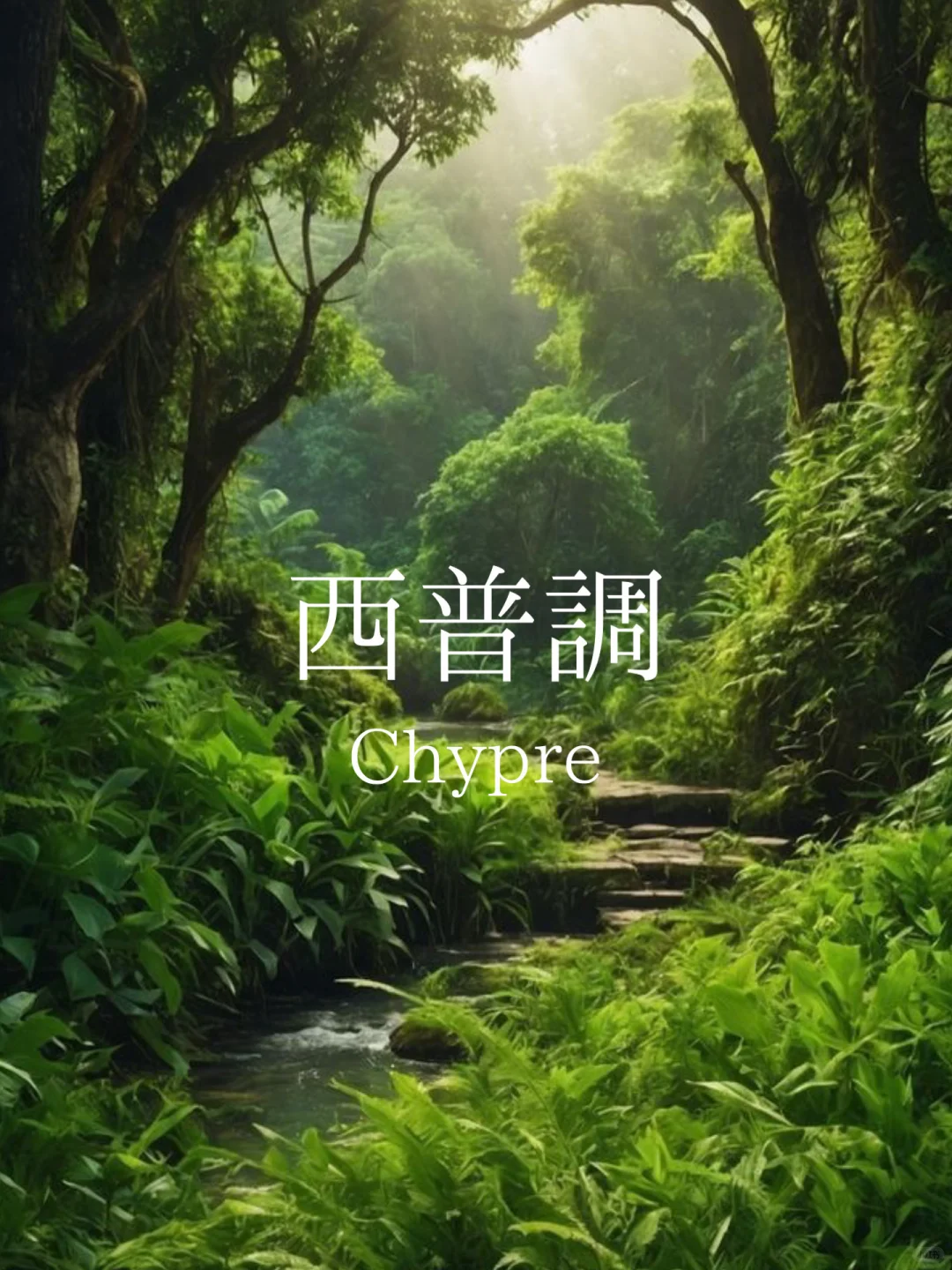 赶时间进：一分钟找到属于你的香！