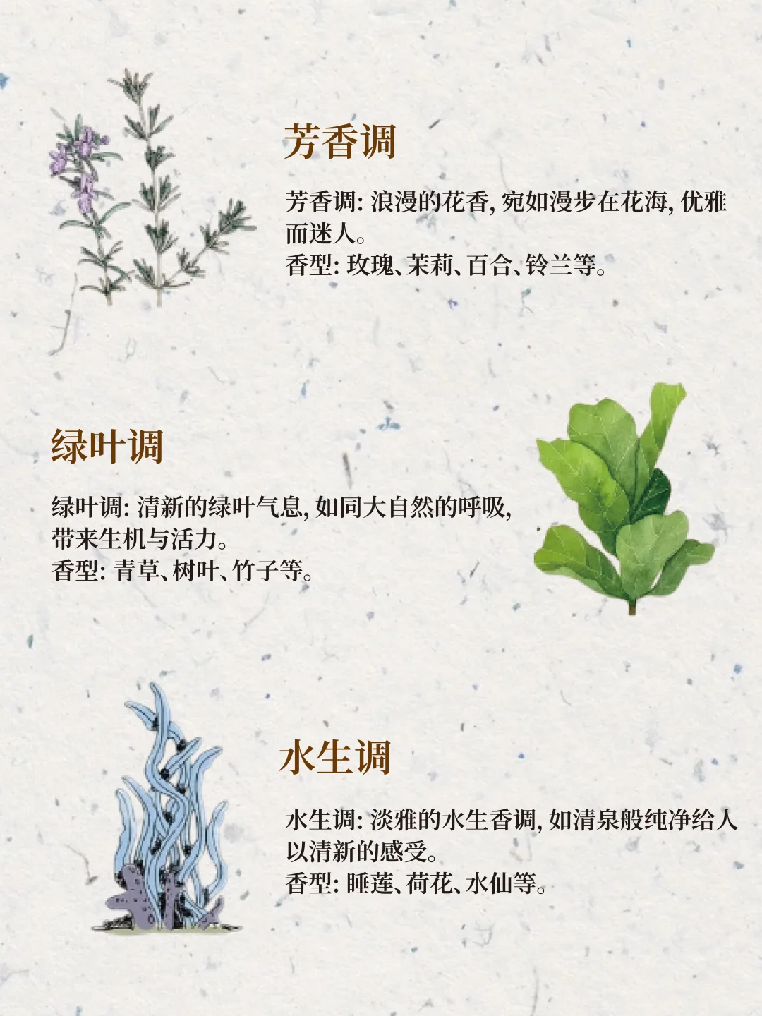 12 种香调|调香爱好者必存!