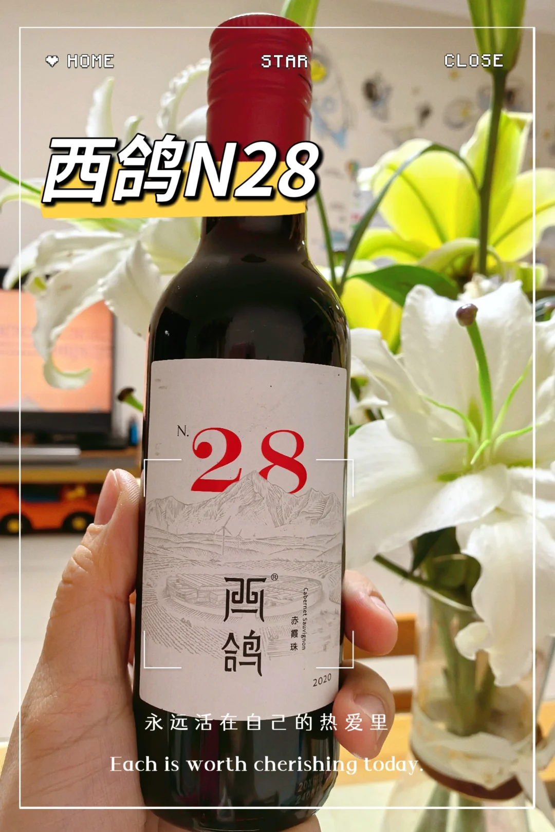 今晚一杯国风?西鸽N28