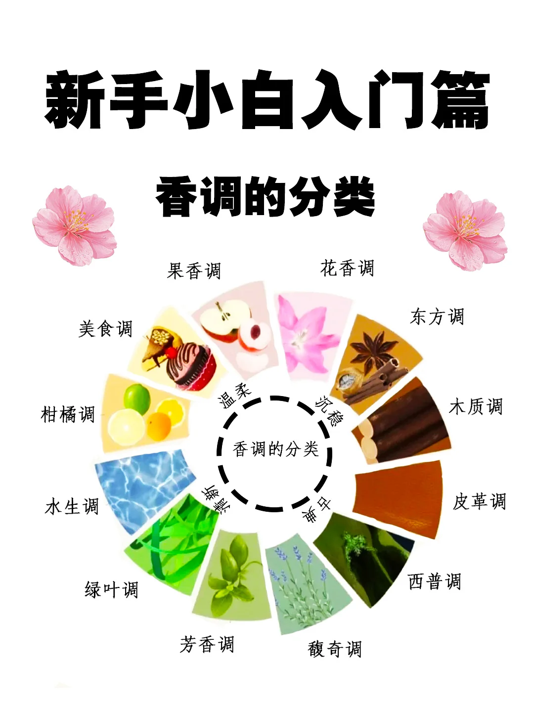 超详细的12种香调分类!你用的香香是哪类呢