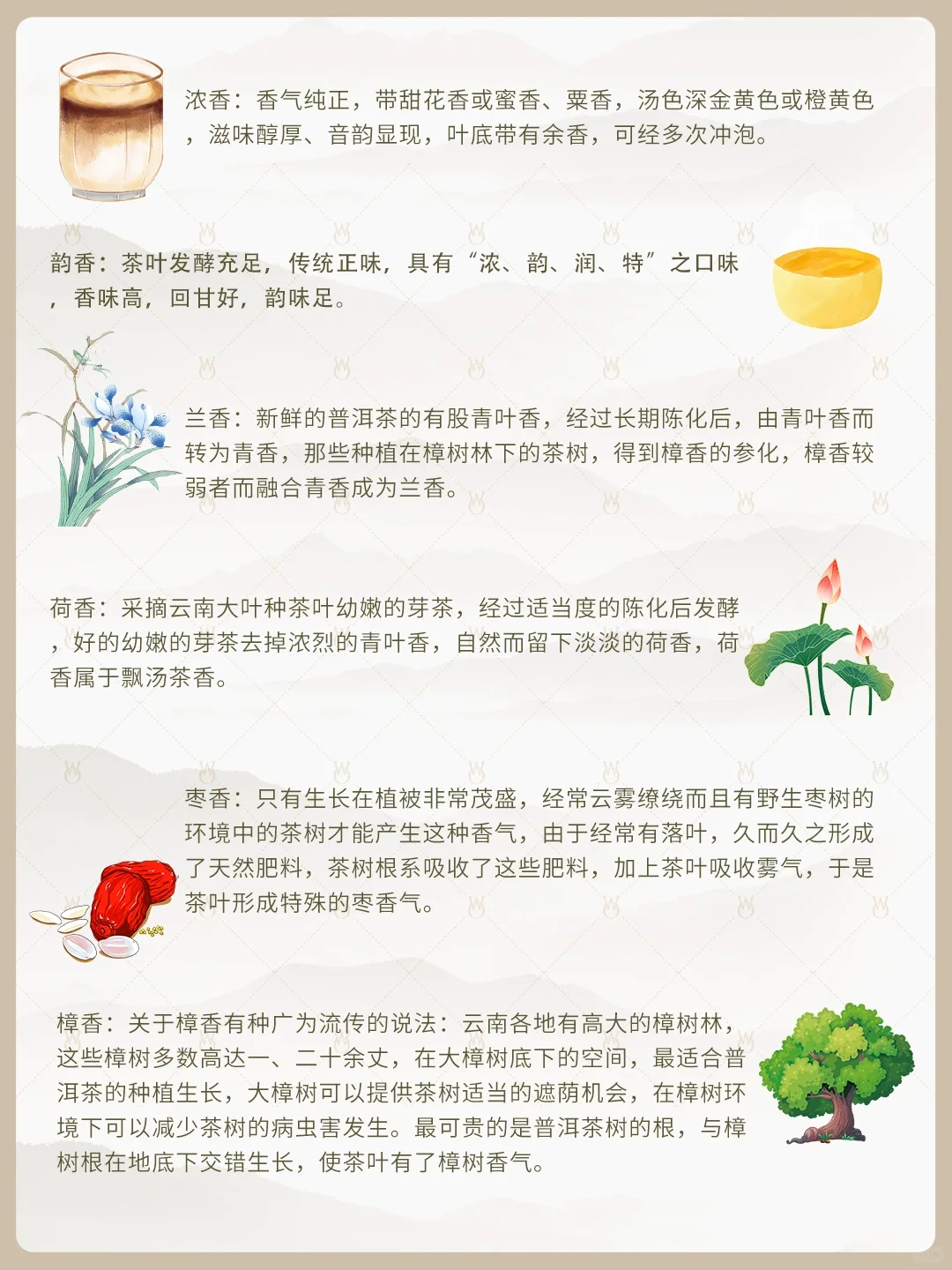 茶叶知识丨茶叶的32种香气类型，你闻过几个