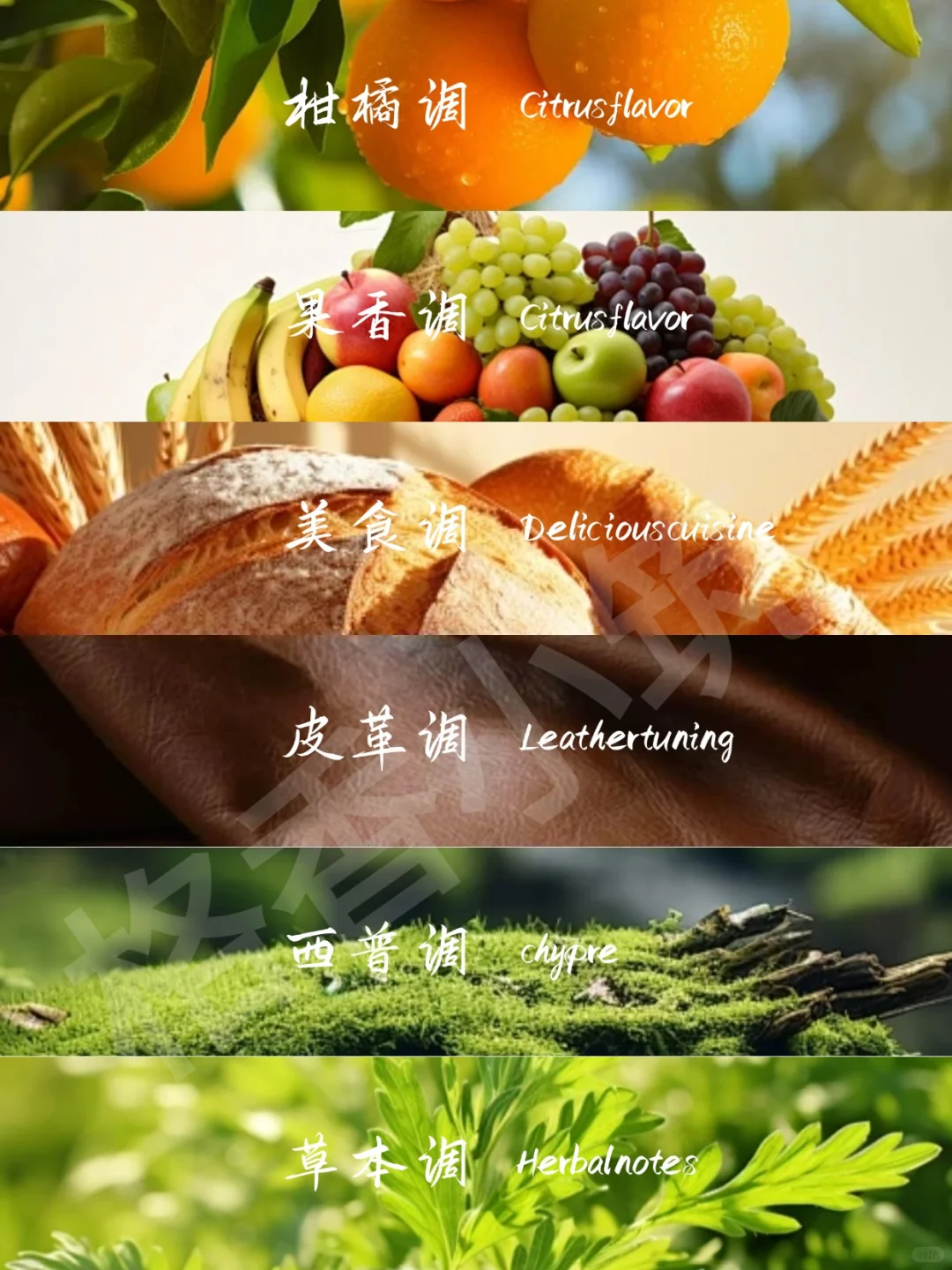 香味科普 | 新手必知的12种香调！