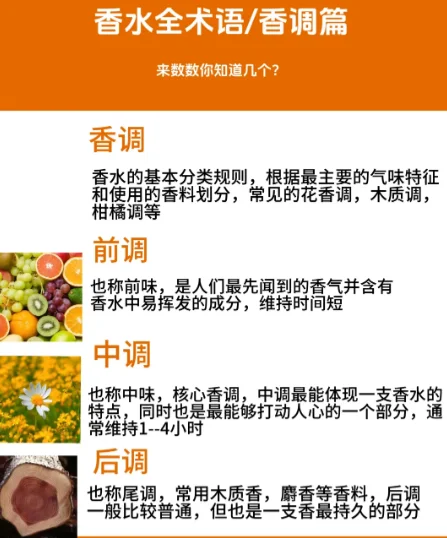 香水术语：香调篇
