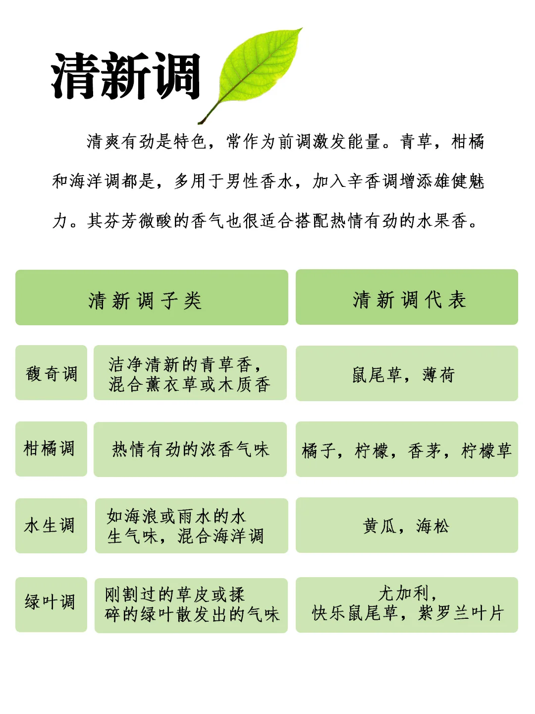 超详细的12种香调分类!你用的香香是哪类呢