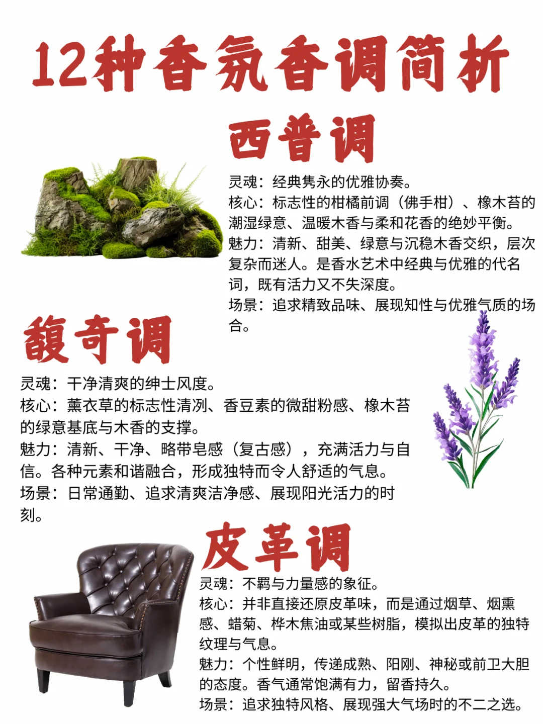 香圈新人必看科普！搞懂香水12香调