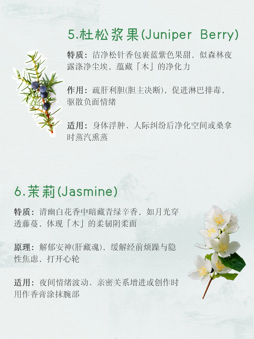 适合喜木之人的木质香气